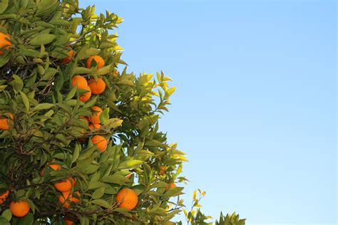 fruitful .